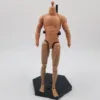 1/6 Scale S005 Muscular Male Action Figure