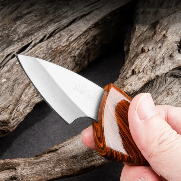 Mini Stainless Steel Fruit Knife for Outdoors - Image 3