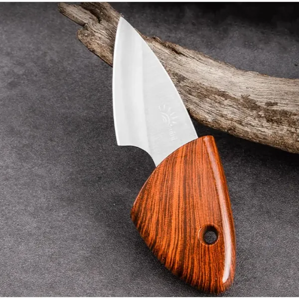 Mini Stainless Steel Fruit Knife for Outdoors - Image 6