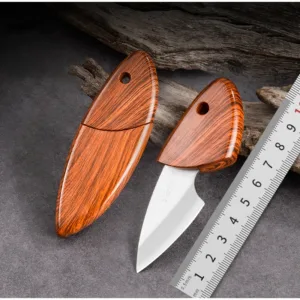 Mini Stainless Steel Fruit Knife for Outdoors