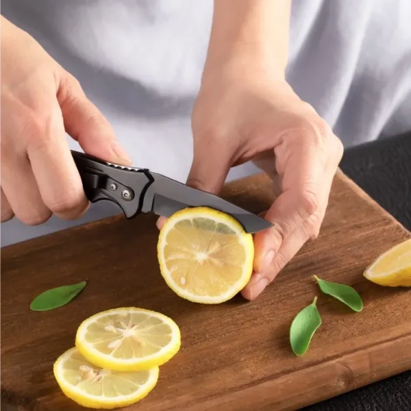 Stainless Steel Folding Fillet Knife for Fishing - Image 5