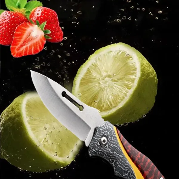 Folding Stainless Steel Fruit Knife Set - Image 4