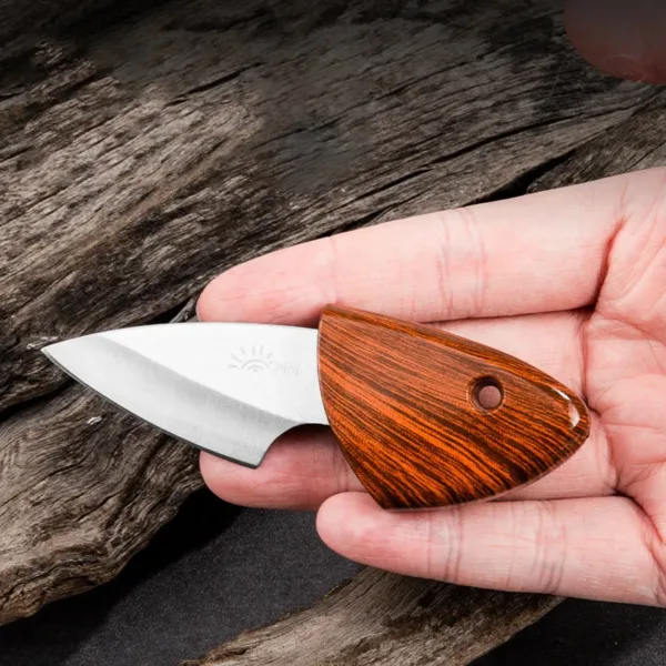 Mini Stainless Steel Fruit Knife for Outdoors - Image 2