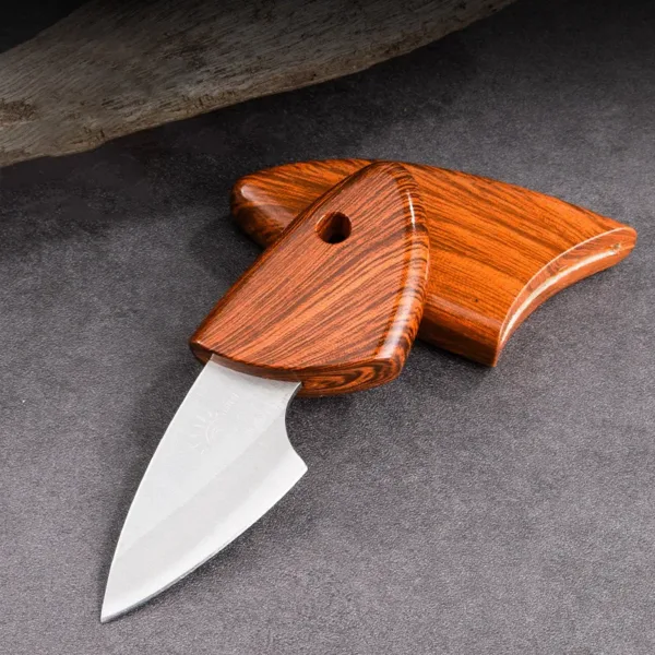 Mini Stainless Steel Fruit Knife for Outdoors - Image 4