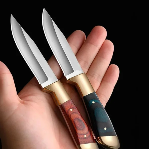 Portable Stainless Steel Sharp Fruit Knife - Image 3