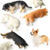 Sleeping Shiba Inu and Corgi Figurine Toy