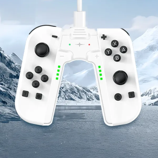 RGB Gamepad Controller for Nintendo Switch