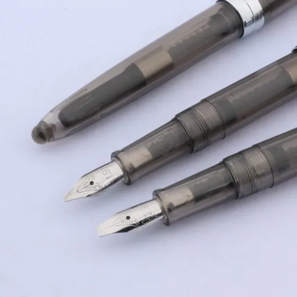 Transparent Gray Fountain Pen for Calligraphy - Image 3