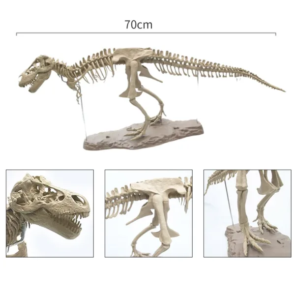 Large T-Rex Dinosaur Skeleton Model Kit - Image 5