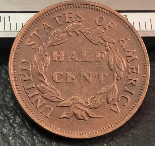 1851 Braided Hair Half Cent Replica Coin - Image 2