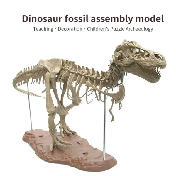 Large T-Rex Dinosaur Skeleton Model Kit - Image 3