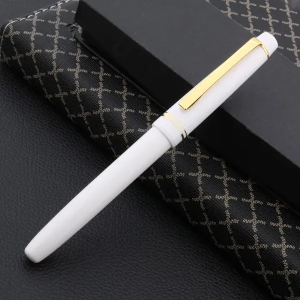 3001 EF Nib Fountain Pen with Plastic Body - Image 9