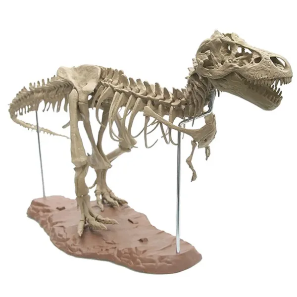 Large T-Rex Dinosaur Skeleton Model Kit - Image 7