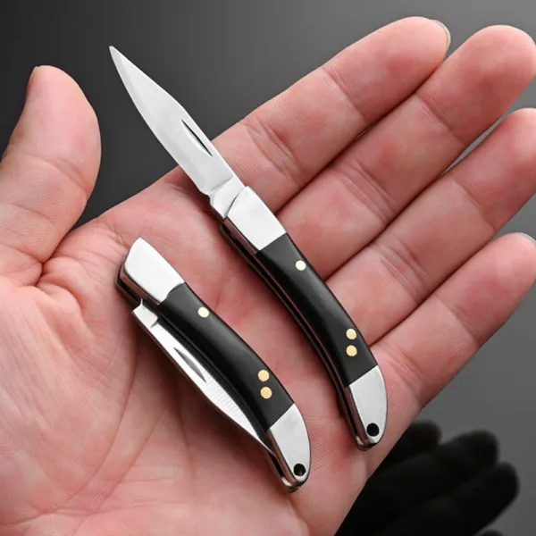 Portable Stainless Steel Folding Knife with Wood Handle - Image 8