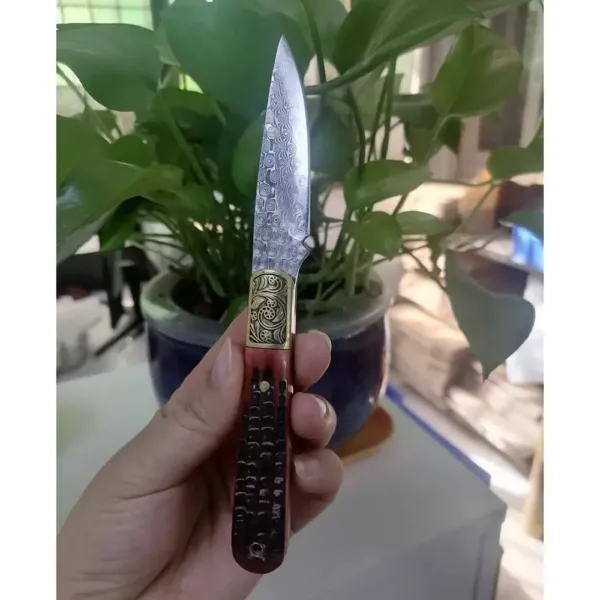 Damascus Steel Outdoor Camping Fixed Blade Knife - Image 7