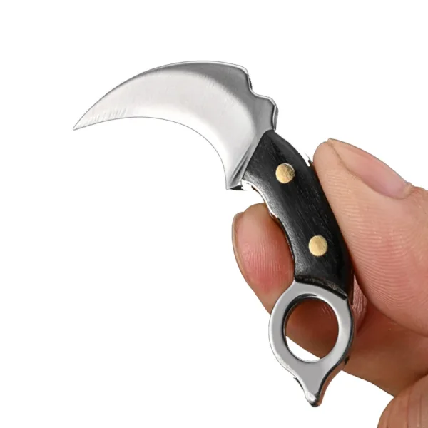 Mini Portable Fixed Blade Knife with Wood Handle - Image 4