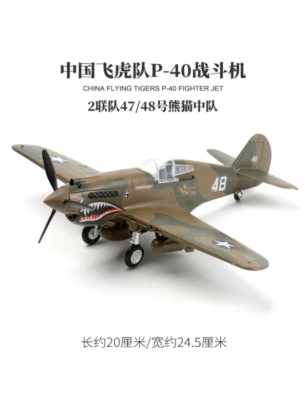 1/48 P40 Fighter Jet Model Kit for Adults - Image 3