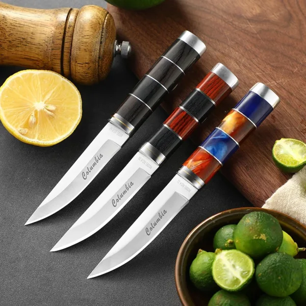 Portable Stainless Steel Fruit Knife 7.4 Inch