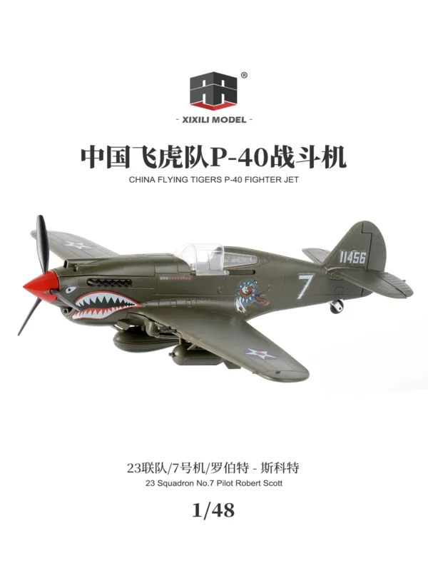 1/48 P40 Fighter Jet Model Kit for Adults