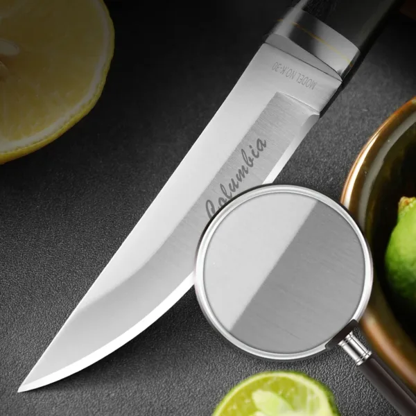 Portable Stainless Steel Fruit Knife 7.4 Inch - Image 2