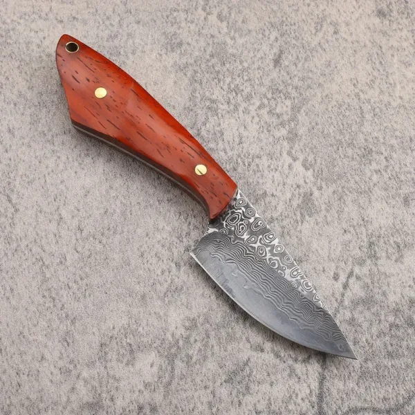 Damascus Steel Fixed Blade Knife with Leather Case - Image 2