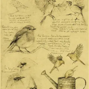 S0187acbdfaf547b6ba45b8dbd85c6220m