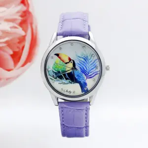 S049d01ba629e44158c6814933bcce416S