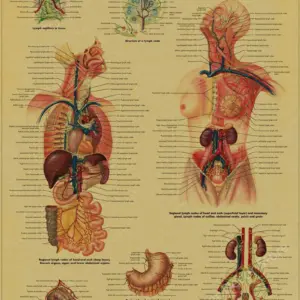 S04cdaaaef1774919a74c319c1e9a6263c