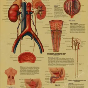 S0b2d0c762e834d0c99d9530e54771721J