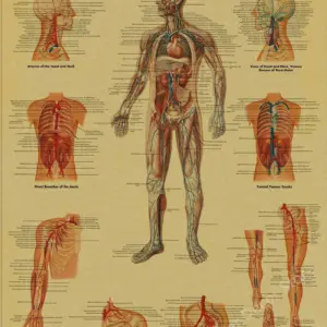 S10dd088ac2b348e2b0bd635825074ec0J