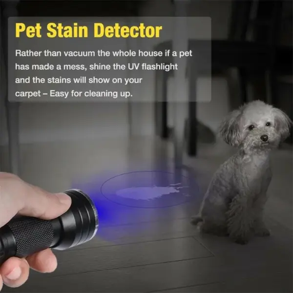 21 LED UV Blacklight Flashlight for Pets - Image 3