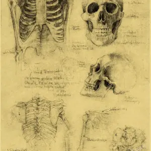 S14b6ed49f2d945ff8d6aeb5ad71fde29K