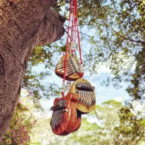 S151e0c39ef4e4f7db9dd6ccd42c2b8adj