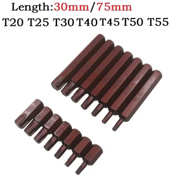 10mm Hex Shank Magnetic Torx Bit Set - Image 5