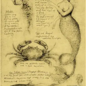 S19e50808cb544ed3aa789e1a9745f5ddo