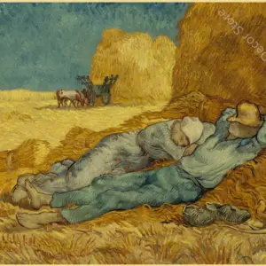 S1eb85328014246d7b846be71abda1179W