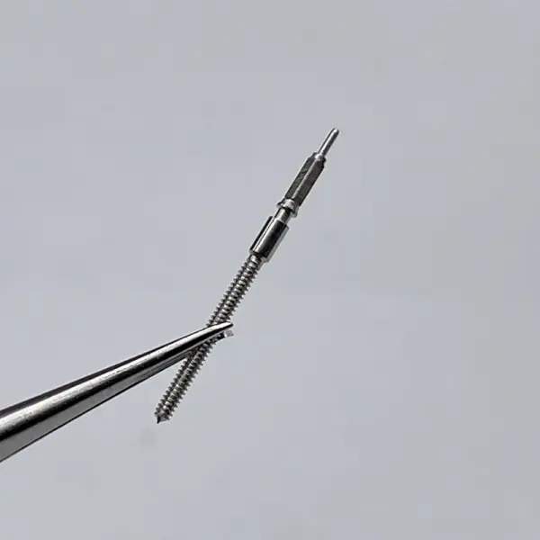 5pcs Winding Stems for 2824-2 Movement - Image 2