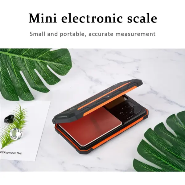 Portable Digital Pocket Scale with Calibration Weight - Image 2