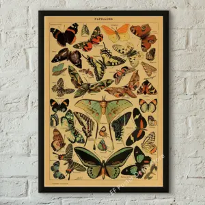 S313da10d1bda4572912aae4762b0b576f 1