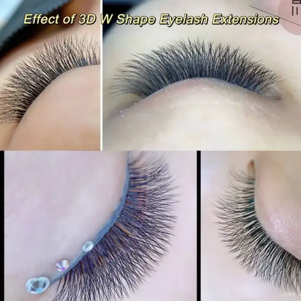 3D/4D/5D/6D W Shape Eyelash Extensions - Image 5