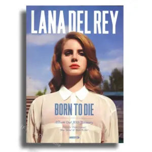Lana Del Rey Aesthetic Art Poster Unframed 21 S348cbe92bef44f1abfbabe7da506f208F 2