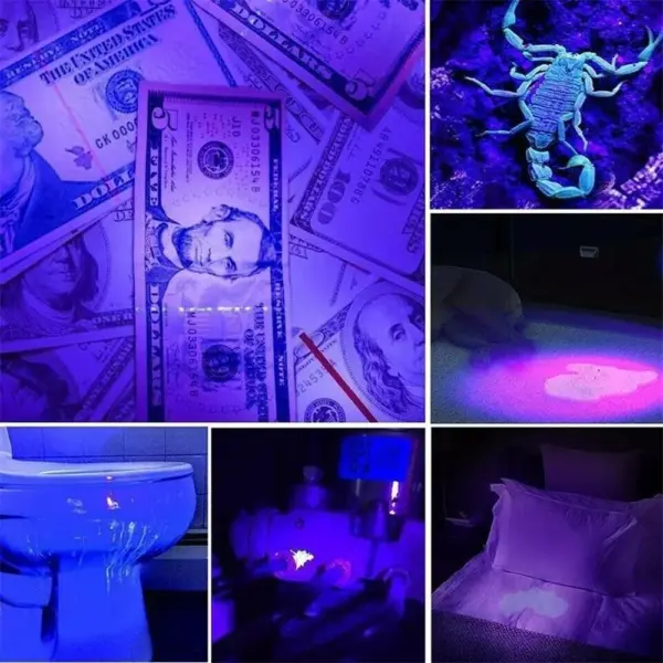 21 LED UV Blacklight Flashlight for Pets - Image 6