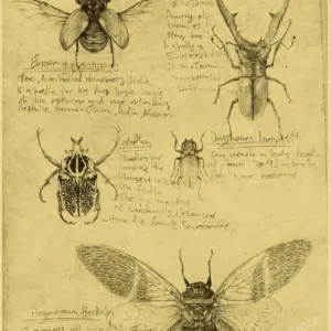 S4252ae1a09af42229f1bf3a1202932cff