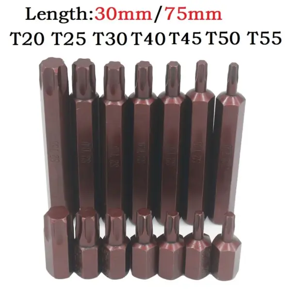 10mm Hex Shank Magnetic Torx Bit Set