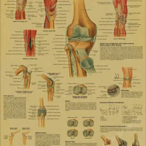 S566cd0b6c7074e8a8c48ddd3308176ddz