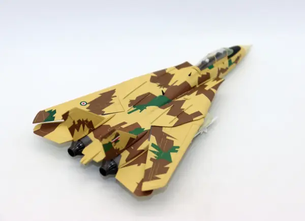 1/100 F-14A Tomcat Iran Air Force Model - Image 3