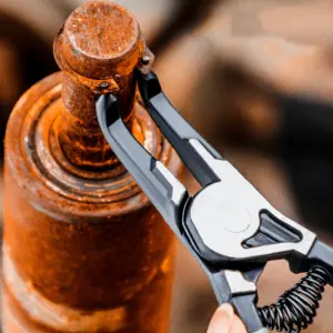 S61c4ee3082cc49849cb5fc10ab3cf8bao