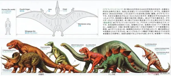 Tamiya 1/35 Pteranodon Plastic Model Kit - Image 3