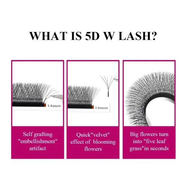 Fadvan 5D W Shaped Eyelash Extensions 0.07mm - Image 4