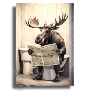 S6561552489fd47e699154da7df6d0e86n 2